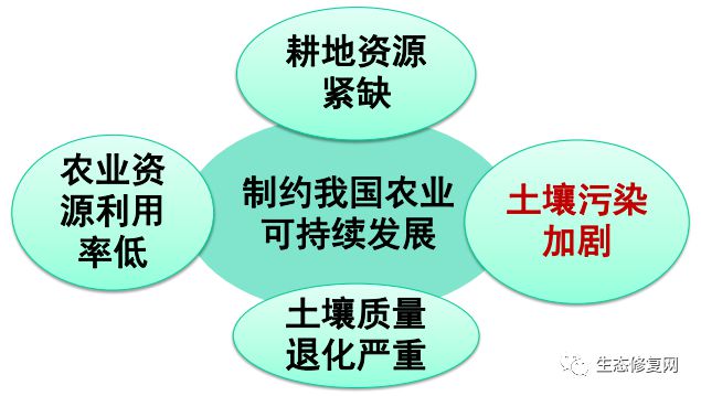 污染土壤修復治理對策與思考——以實踐服務推動生態安全